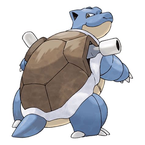 blatoise|picture of blastoise.